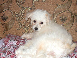 SASHAR FEELING LAZY ON SOFA