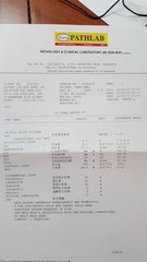 Blood test report 2