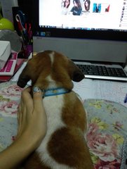 I'm a good boy being by mummy's side while she is working :D