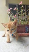 Hey there!