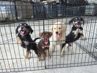 Sarah far right with her siblings