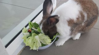 Breakfast time, fresh veggies, herbs & fruits.