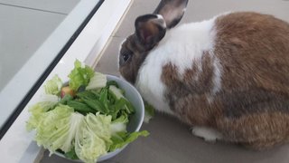 Breakfast time, fresh veggies, herbs & fruits.