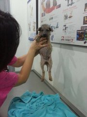 at the vet, she weighed only 1.1kg