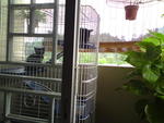 my cage...