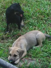 Tired after playing. Both female.