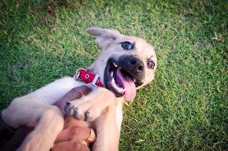 Oh, I LOVE tummy tickles, more, more, more! Oh Yeah! :-) 