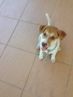 Neelu at 3 months of age.