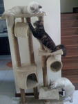 Sophie must always be on the top shelf. Dia kan princess :)