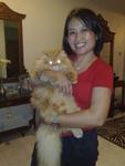 Champchamp - Persian Cat