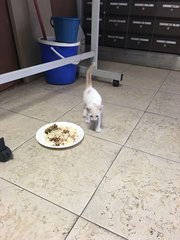 Snow having a meal