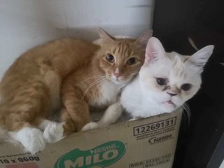Charo and friend 