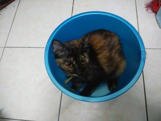 She likes buckets a lot!