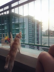 She love sun and viewing outside world.