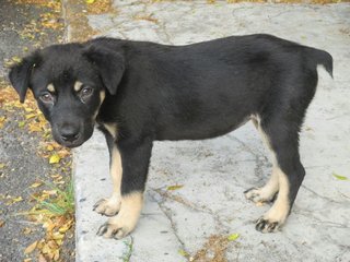 Estee at 3 months old