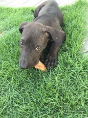 Enjoying her Treat