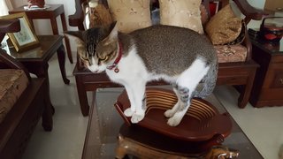 After 40 winks