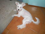 Shaved her hair off because of skin bacterial infections