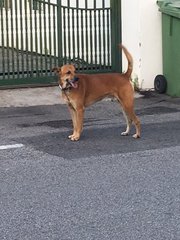 Outside his home, abandoned.