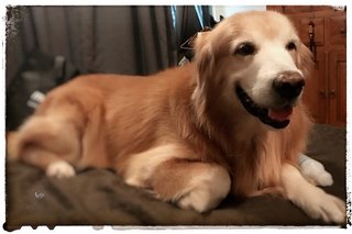 Relaxing on my bed.