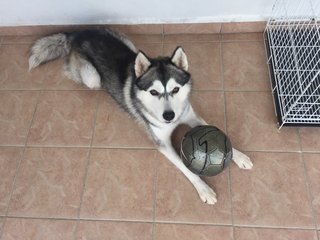 He loves playing football