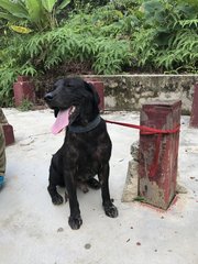 He was very thirsty and drank over half a small bottle of water. 