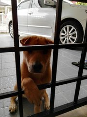 the ultimate hand offer (begging for food)
