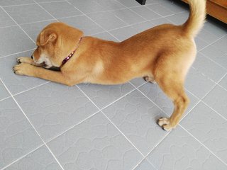 Yoga Stretch