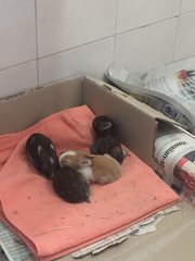 when they were just born