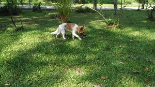 Playing in the garden