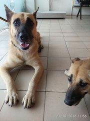 Boi & Girl at vet for vaccination