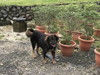 enjoying her walk