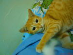 my beby oyen..