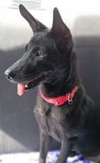 Close up profile of Gabby, during a car ride.