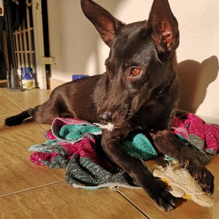 Gabby with her beautiful sleek black look