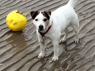 Playing on the beach!