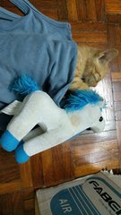 Cuddling with his toy unicorn.