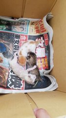 When they were rescued.. 