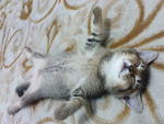 yesh mama..lets play againzz..zzzz.zz