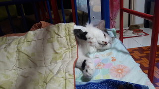 Puteh love sleeping