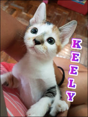 Keely, means beautiful