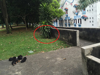 Location of the hole (behind Tadika Grace), where the puppies are hiding