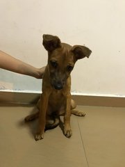 Coffee, about 3 month old