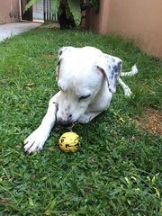 Loving his toys 