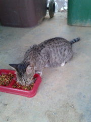 Favourite time of the day is dinner time :)