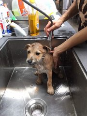 My first bath!