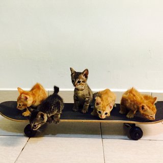With her siblings. 
