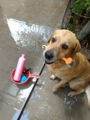 waiting for bathing