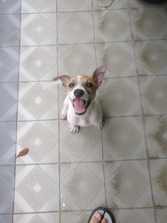 He knows when to sit