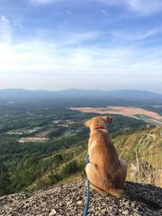 On the top of Broga Hill! 